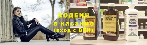 индика Покачи
